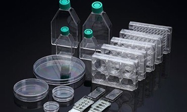 如何提高醫(yī)療模具注塑加工的效率和質(zhì)量？